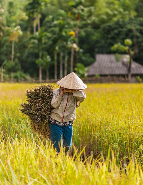 Utsikt över Ho Chi Minh-staden, Vietnam