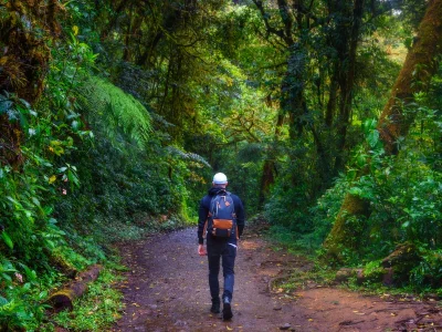 En man går på en stig i Monteverde i Costa Rica