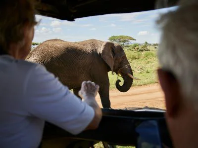 Två personer tittar på en elefant från en safaribil