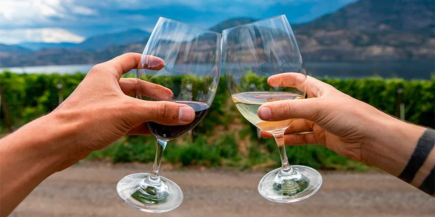 Par som skålar i vin i Okanagan Valley i Kanada