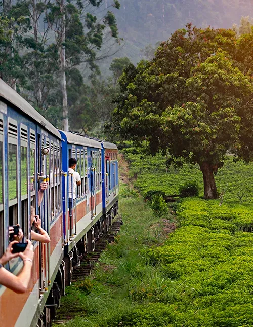Tågresa från Nuwara Eliya till Kandy genom teplantagerna i Sri Lankas högland