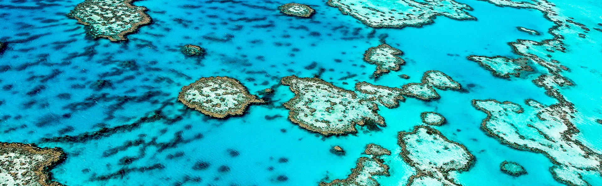 Great Barrier Reef utanför Australiens kust.