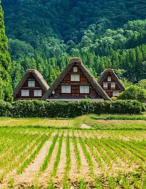 Shirakawa-go på hösten
