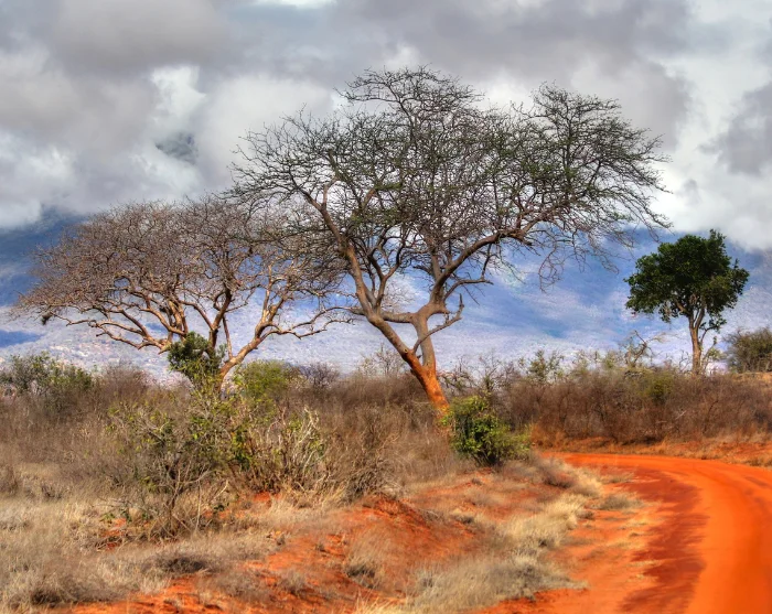 Visa bild 17