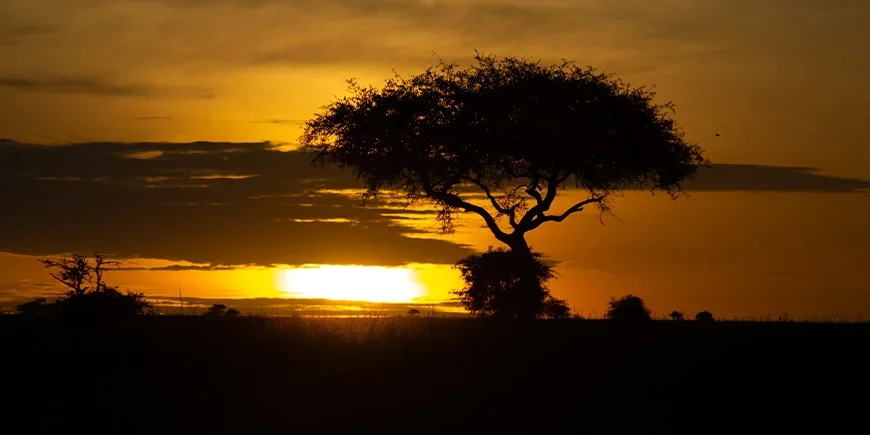 Soluppgång över Serengeti i Tanzania