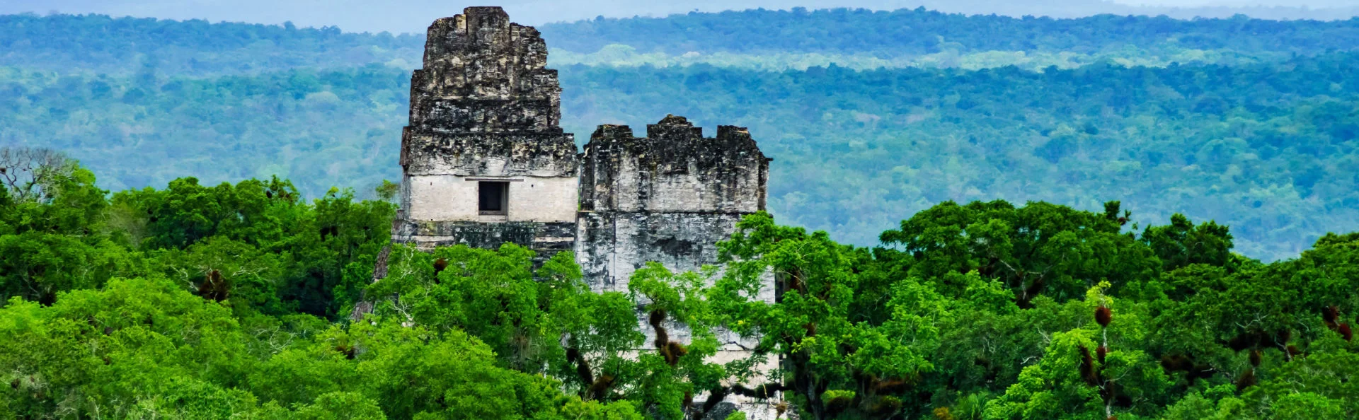 Ruiner i Tikal nationalpark