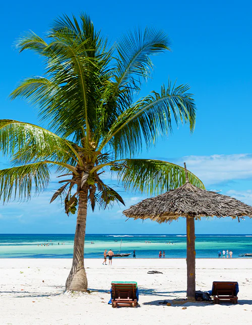 Vacker palmstrand med vit sand i Mombasa