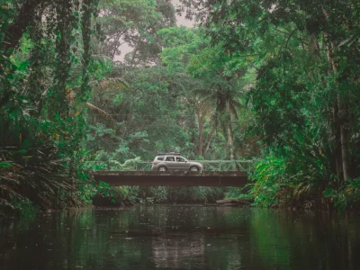 En bil kör genom djungeln i Costa Rica