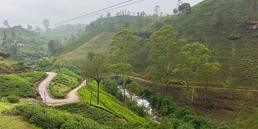 Det vackra höglandet i Sri Lanka.
