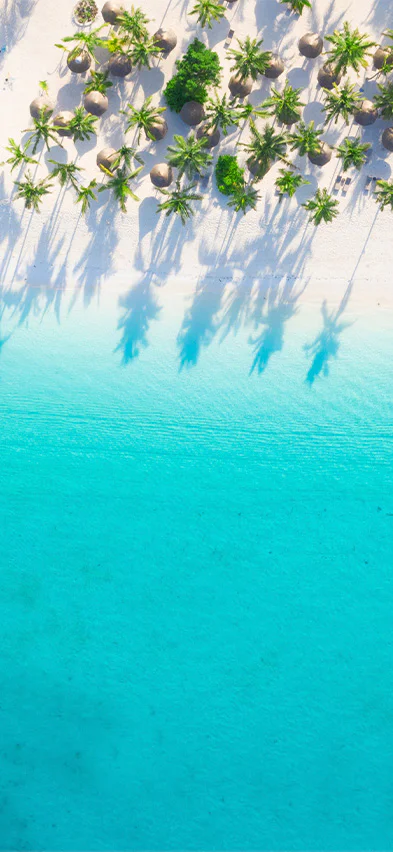 Strand på Zanzibar sedd från drönare