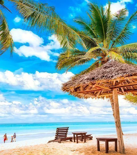 Tropisk strand i Mombasa med palmer och turkosblått hav