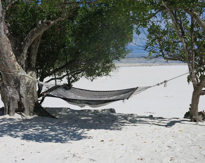 Visa bild 15