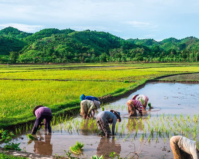Visa bild 12