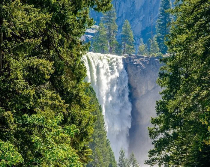 Visa bild 72