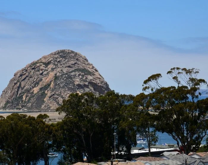 Visa bild 36